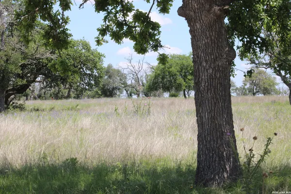 $344,120 | 132 Pack Saddle Lane, Harper, TX 78631