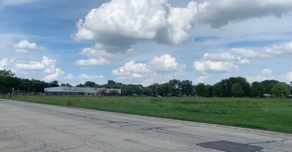 a view of a big yard with potted plants and a big yard
