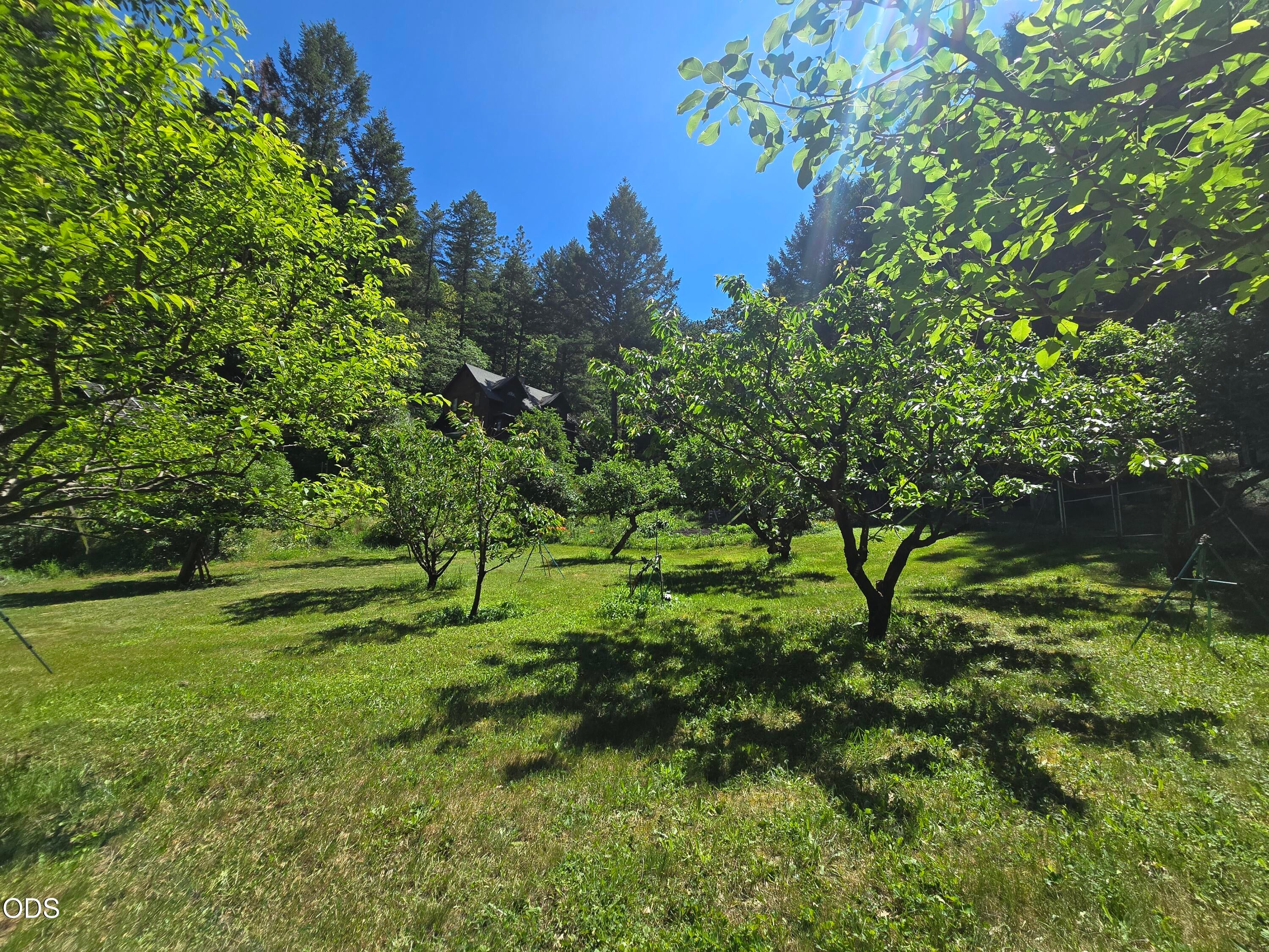 1449 Queen Of Bronze Road Cave Junction, OR 97523 - Photo 79 of 92 Gallery Image 79