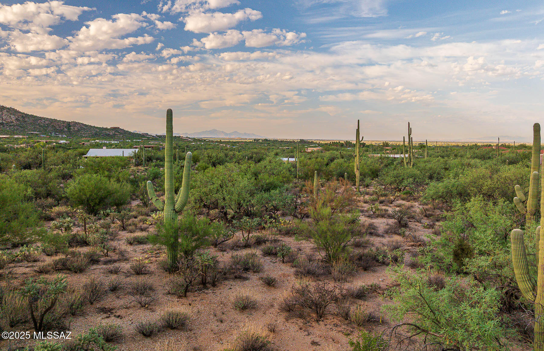 12550 East Horsehead Road Tucson, AZ 85749 - Photo 24 of 29