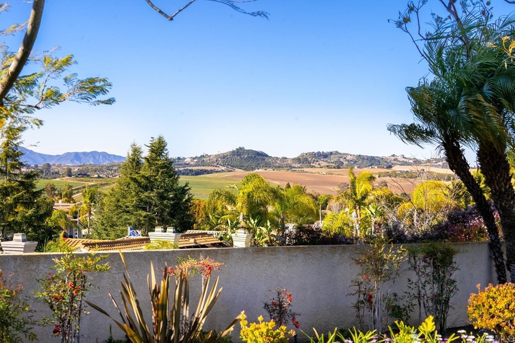 1667 Del Mar Road Oceanside, CA 92057 - Photo 40 of 51 a view of lake and mountain