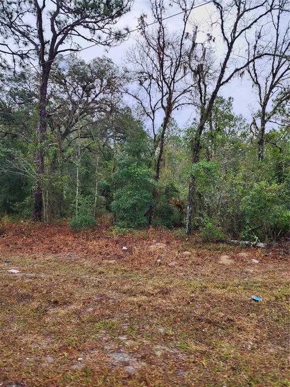 7360 West Dunnellon Road Dunnellon, FL 34433 - Photo 2 of 6