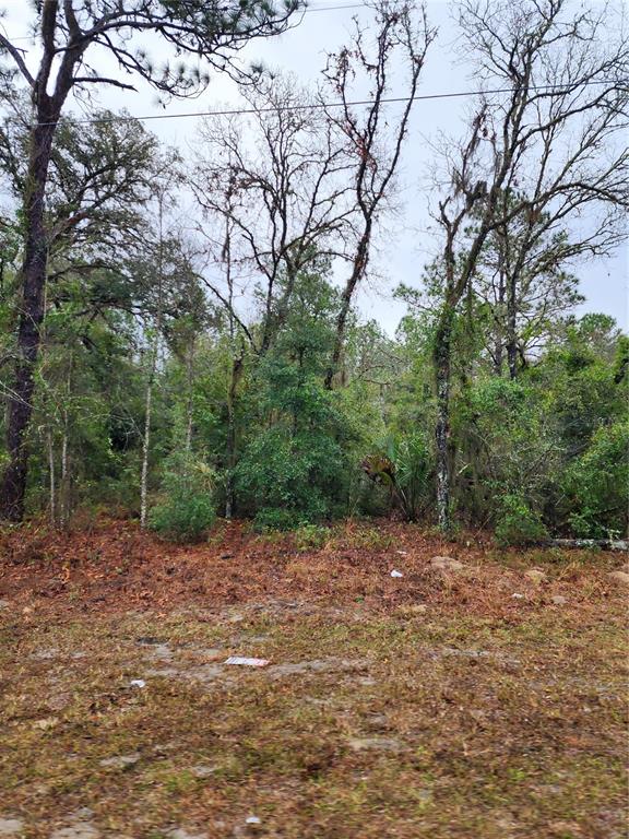 7360 West Dunnellon Road Dunnellon, FL 34433 - Photo 3 of 6