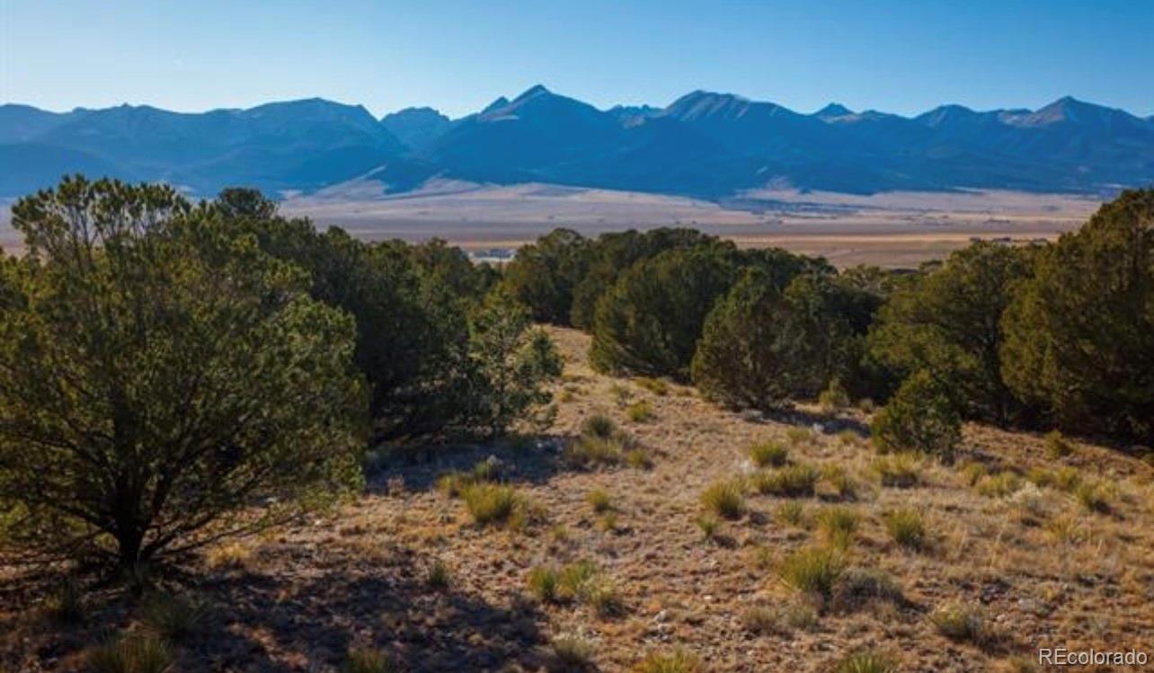 686 Piute Road Westcliffe, CO 81252 - Photo 1 of 1 a view of a forest with mountains in the background