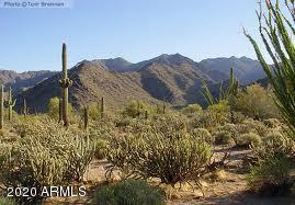 18260 West Tecoma Road Goodyear, AZ 85338 - Photo 54 of 56 Estrella Beautiful Desert-Mtn Views