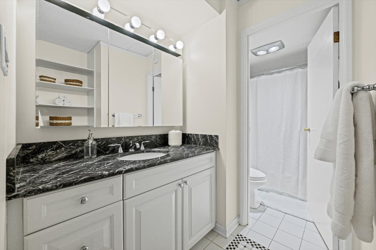 1625 Sheridan Road, Unit 312 Wilmette, IL 60091 - Photo 17 of 24 a bathroom with a granite countertop sink a toilet and a mirror