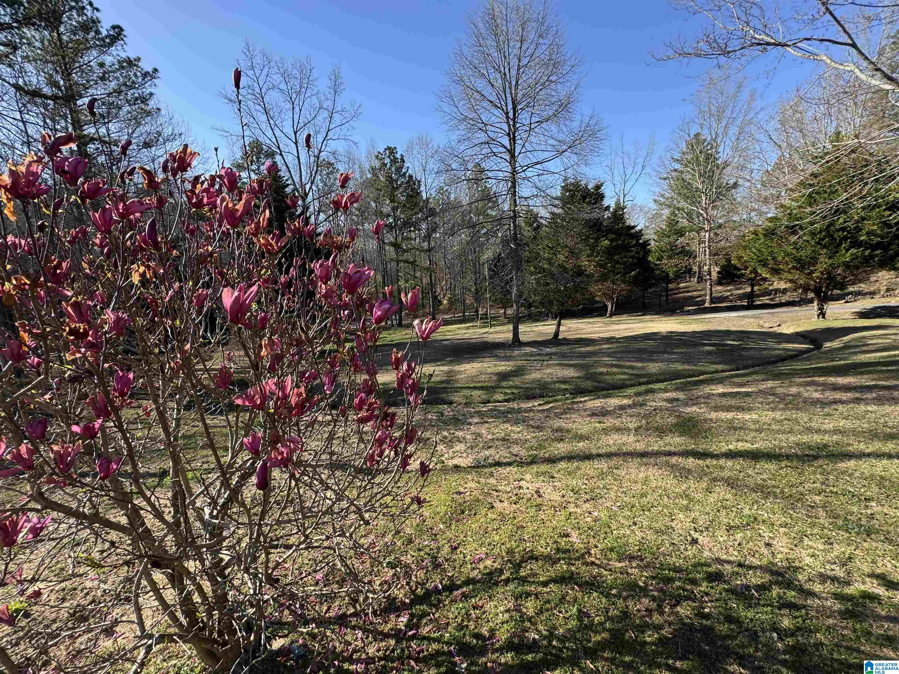 2286 Dee Nix Road Altoona, AL 35952 - Photo 60 of 65