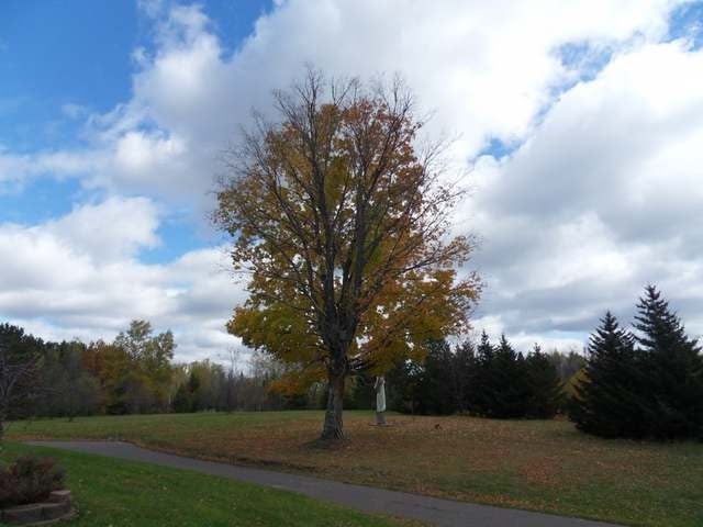 1855 South Ginty Lake Road Rhinelander, WI 54501 - Photo 14 of 20 Gallery Image 14