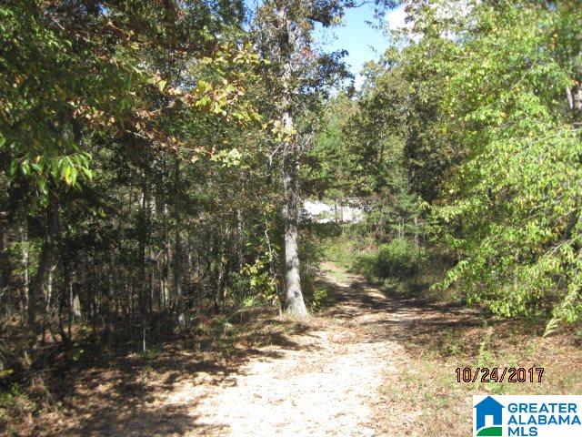 250 Deer Run Road Munford, AL 36268 - Photo 1 of 4