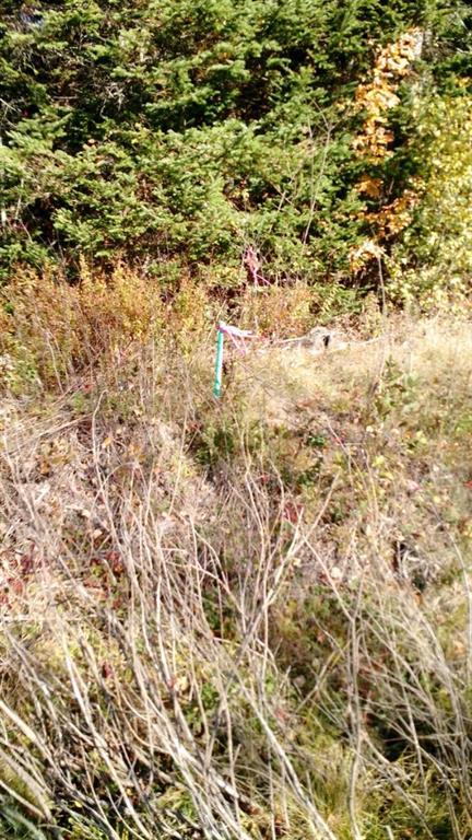 Lot 6 Tar Ridge Road Springfield, ME 04487 - Photo 5 of 6 Photo