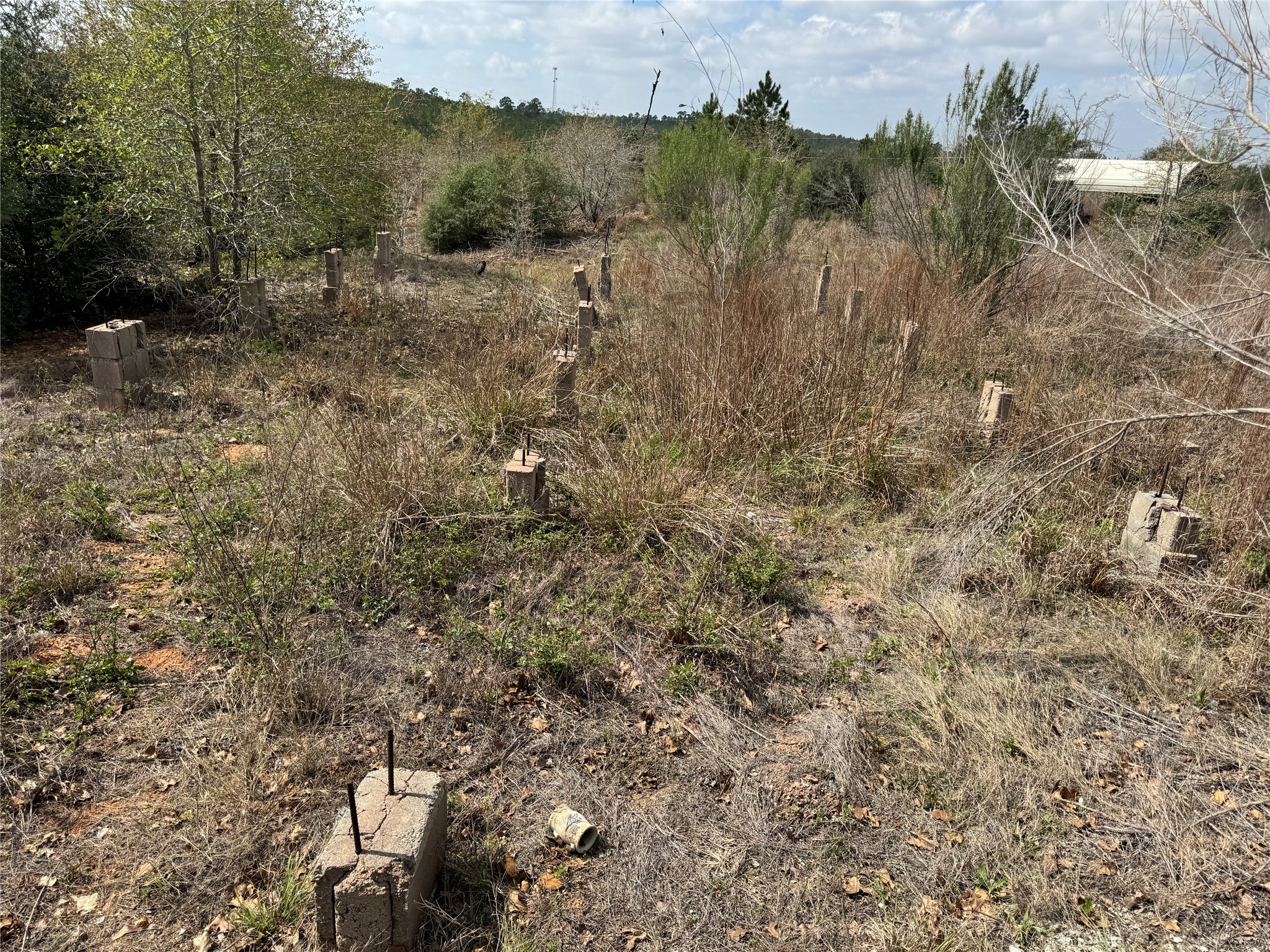 Tbd Hudson Road Smithville, TX 78957 - Photo 2 of 10 a view of a yard with a tree