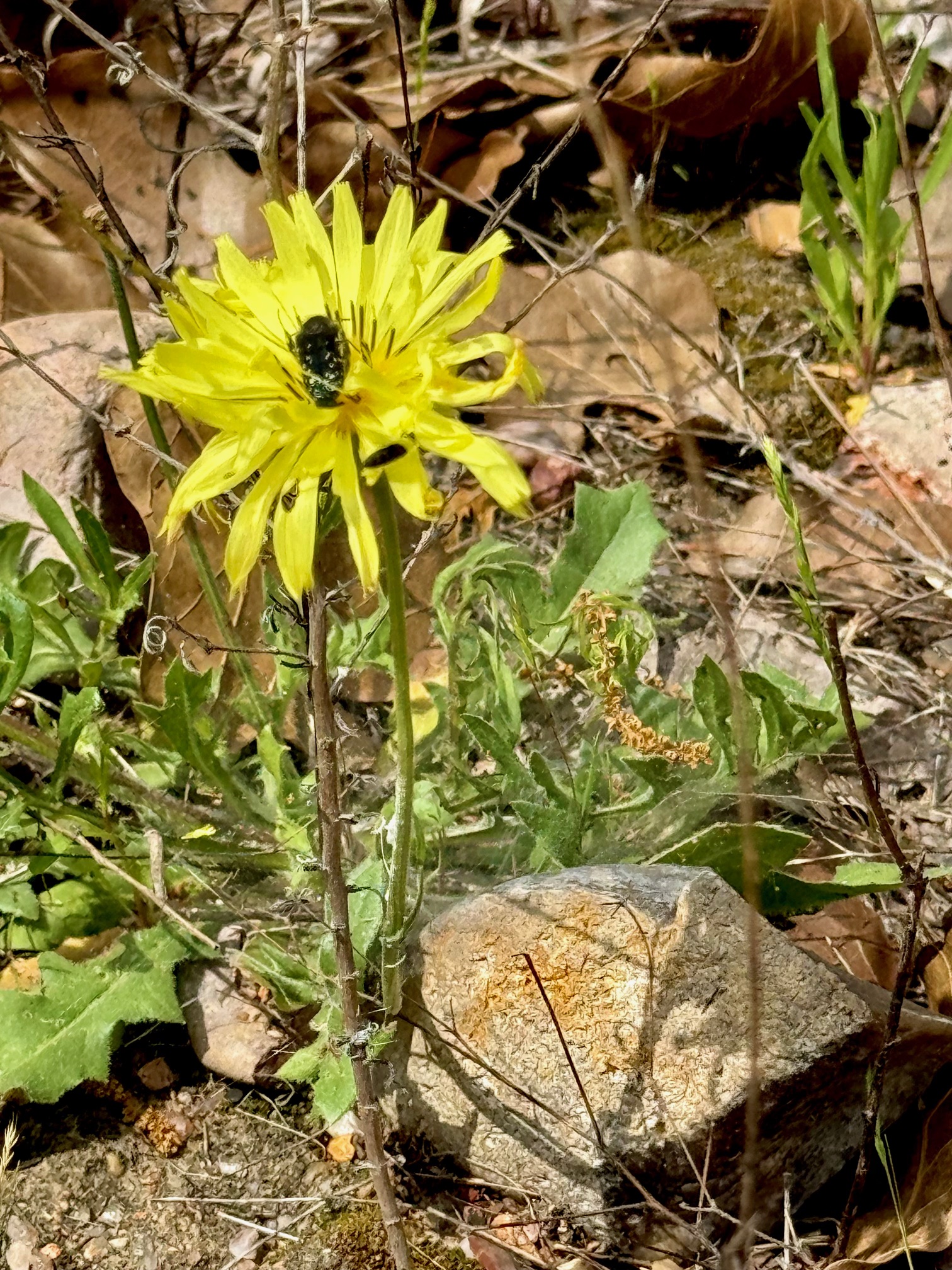 Tbd Hudson Road Smithville, TX 78957 - Photo 4 of 10