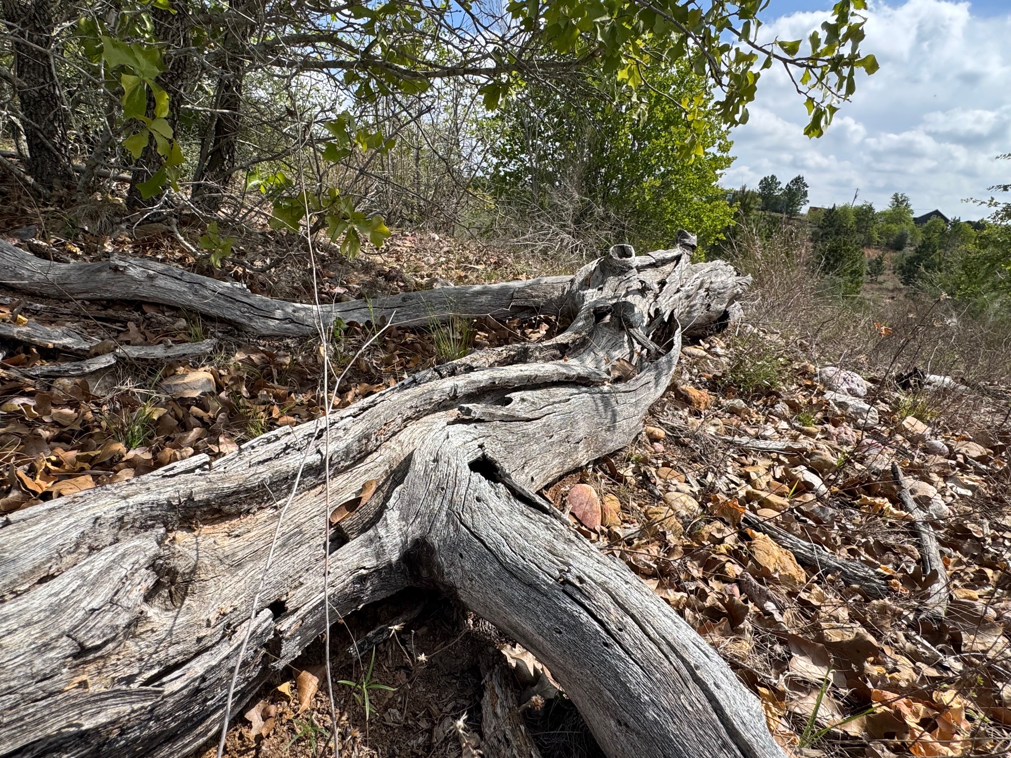 Tbd Hudson Road Smithville, TX 78957 - Photo 8 of 10 a view of a yard with wooden stairs