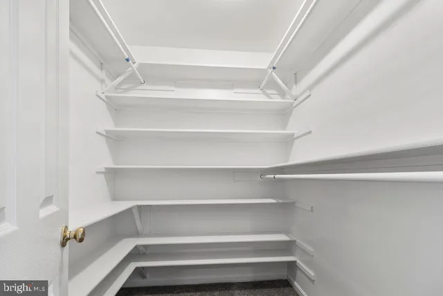 a view of walk in closet with empty racks