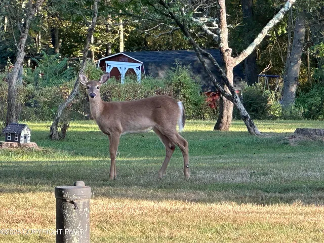 $534,900 | 114 Gravatts Way, Tannersville, PA 18372