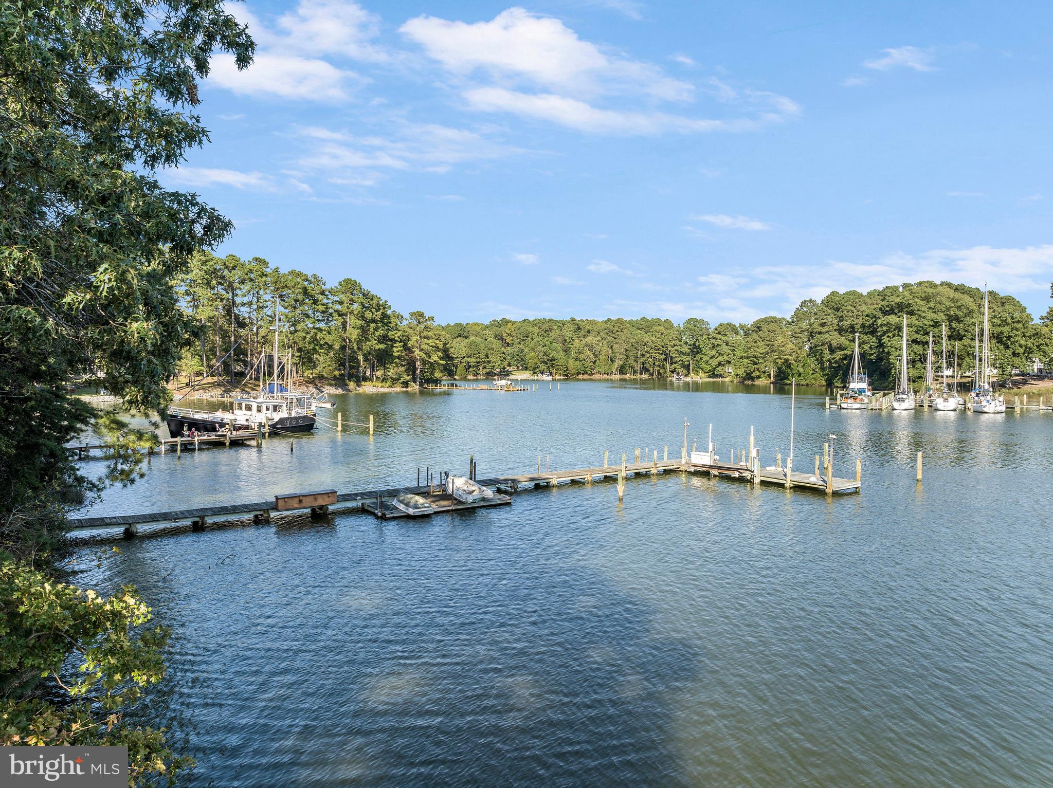 1077 Level Green Road Lancaster, VA 22503 - Photo 2 of 66 120' private dock with 3 slips