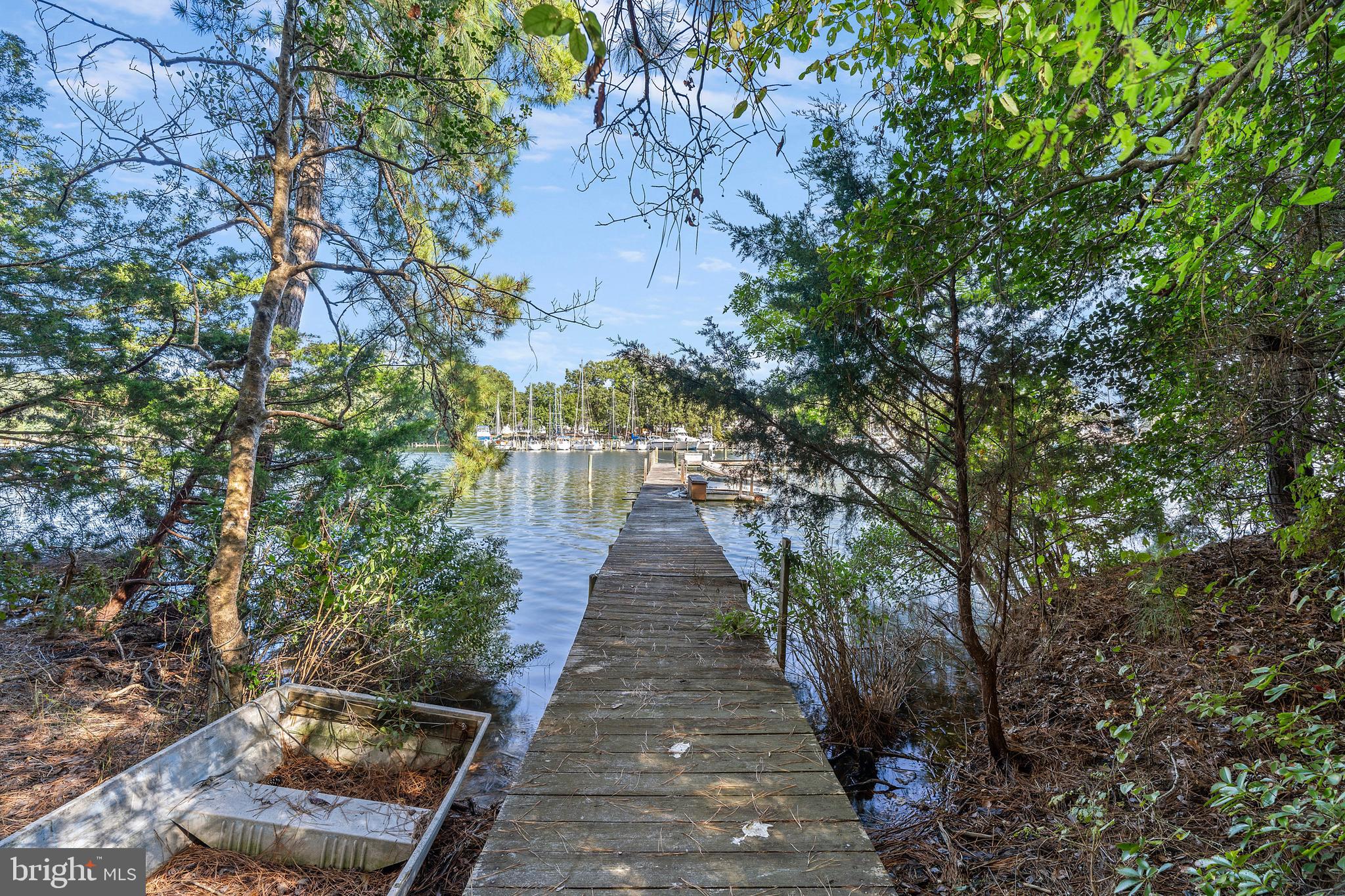 1077 Level Green Road Lancaster, VA 22503 - Photo 50 of 66 Walk out on your private dock