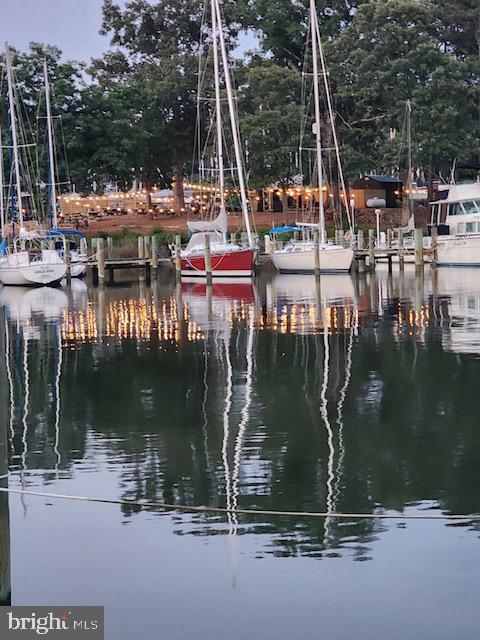 1077 Level Green Road Lancaster, VA 22503 - Photo 8 of 66 View of Yankee Point Marina across the creek.