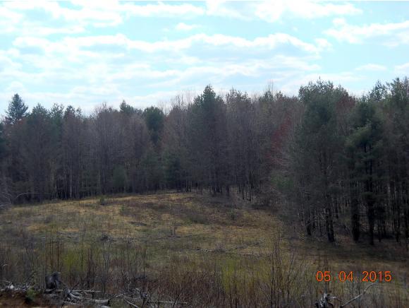 750 Unity Stage Road Charlestown, NH 03603 - Photo 27 of 28 Gallery Image 27