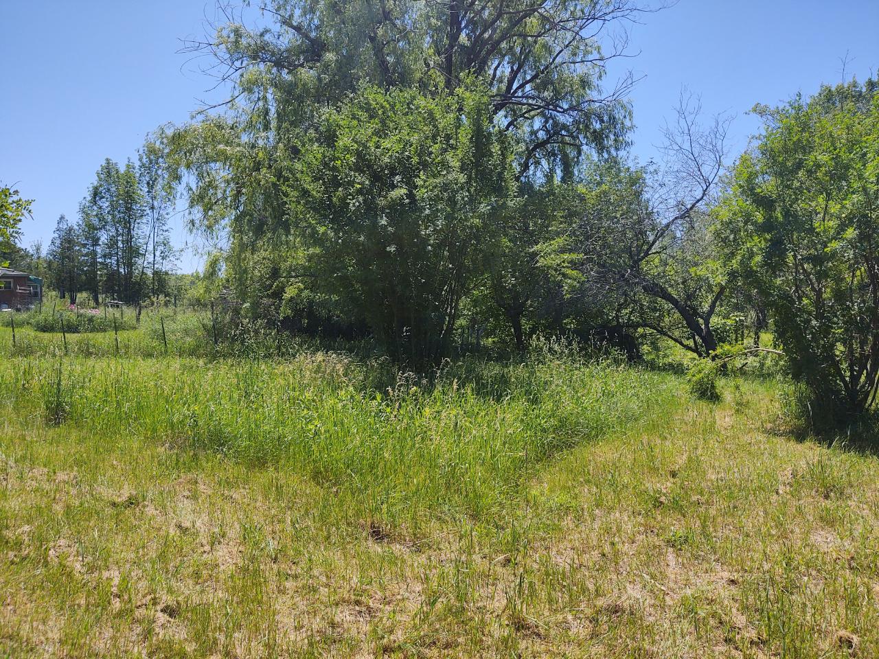 39534 Dyrness Road High Bridge, WI 54846 - Photo 11 of 13 Gallery Image 11
