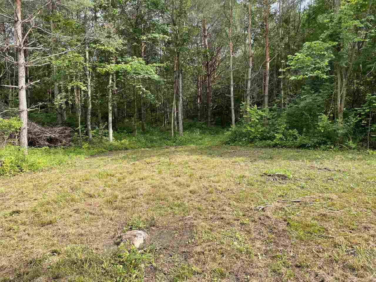 Mt Morris Road Mount Morris, MI 48458 - Photo 4 of 15