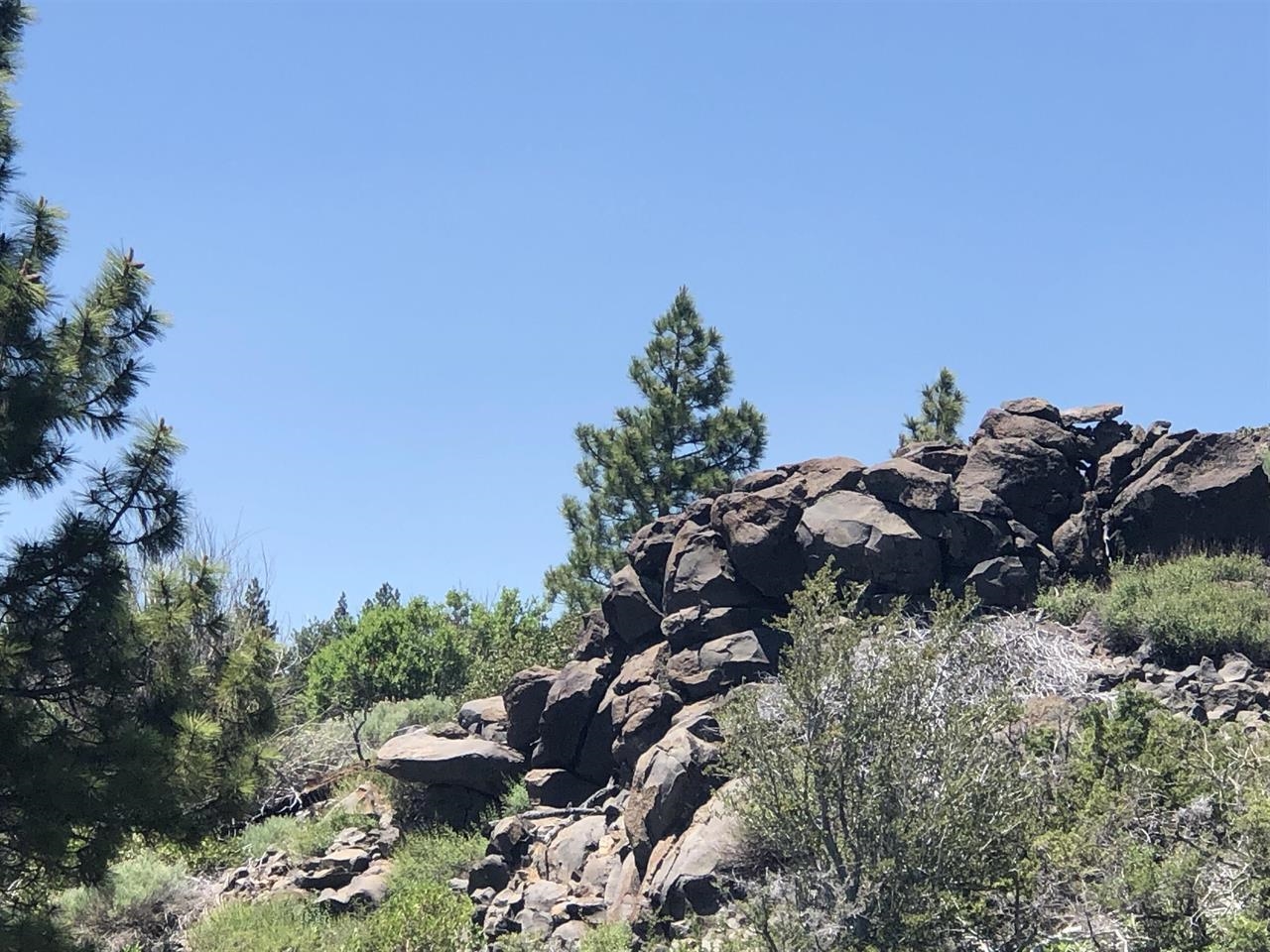 0 Boca Road Truckee, CA 96161 - Photo 4 of 17