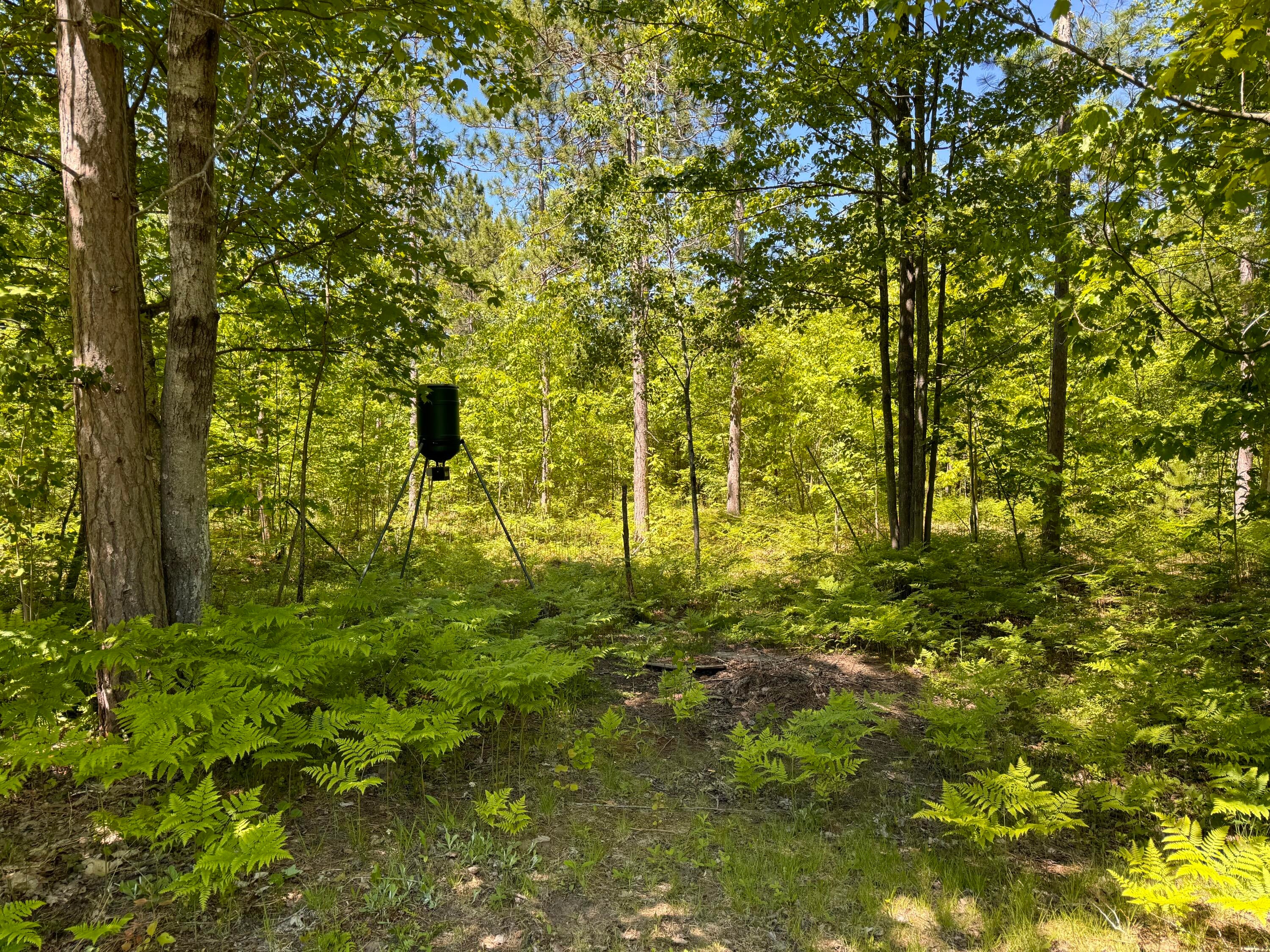 9701 Upper Mograin Road Cheboygan, MI 49721 - Photo 40 of 46 Gallery Image 40