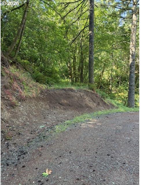 39323 Southwest Gibson Road Gaston, OR 97119 - Photo 8 of 27 Gallery Image 8