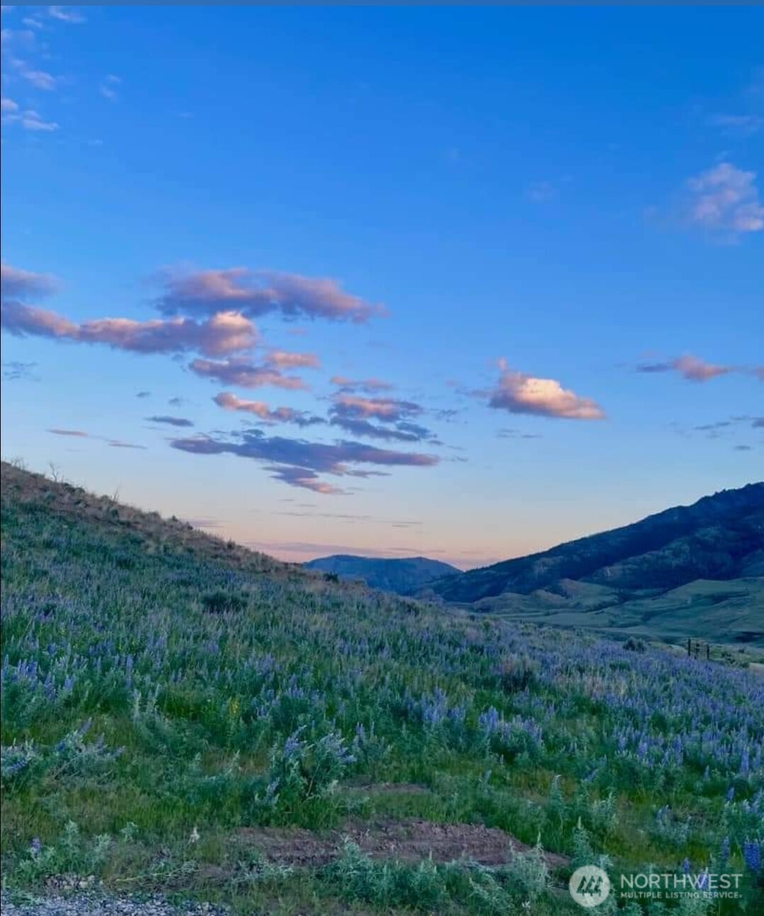 468 Bill Shaw Road Pateros, WA 98846 - Photo 4 of 26 a view of a sky