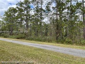 0 Oleander Road Lake Wales, FL 33855 - Photo 5 of 27