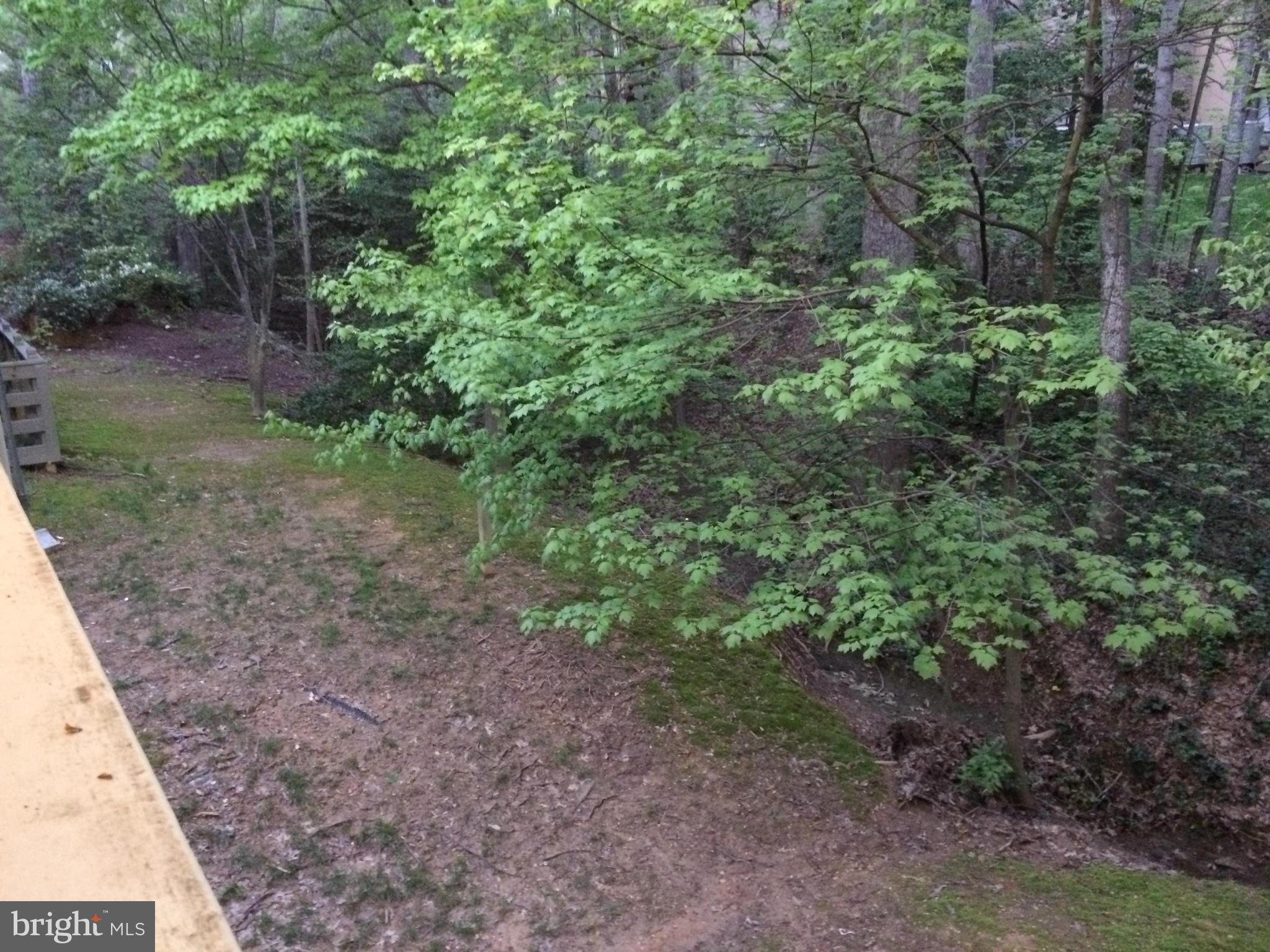 2225 Lovedale Lane, Unit F Reston, VA 20191 - Photo 12 of 14 View from Balcony-Trees!!
