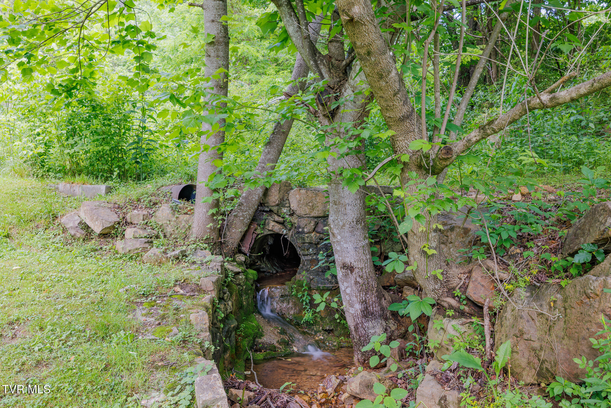 1380 Allison Gap Road Saltville, VA 24370 - Photo 21 of 35 1R9A7207-HDR