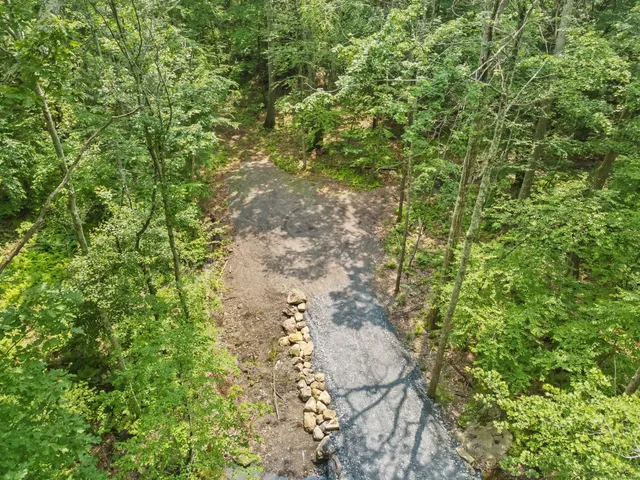a view of a yard with plants and trees