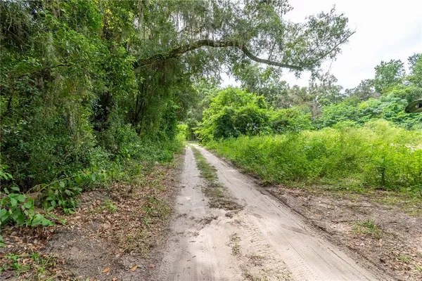 a view of a pathway with a yard