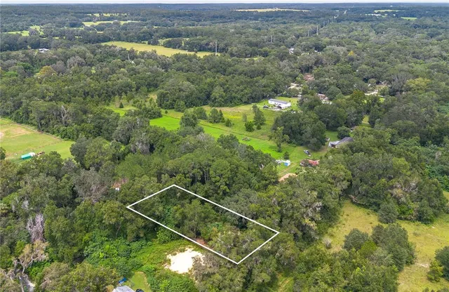 a view of a city with lush green forest