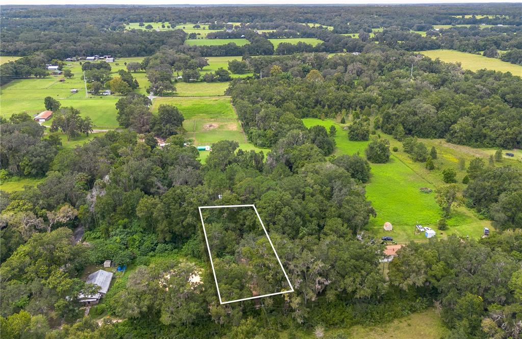 15290 Northwest 46th Avenue Reddick, FL 32686 - Photo 4 of 8