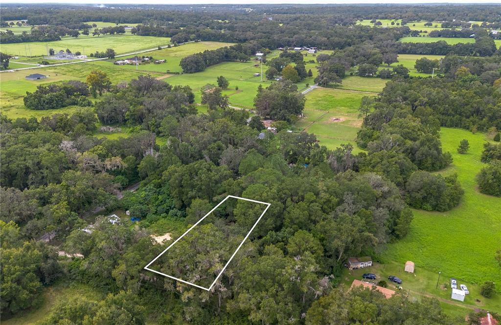 15290 Northwest 46th Avenue Reddick, FL 32686 - Photo 5 of 8