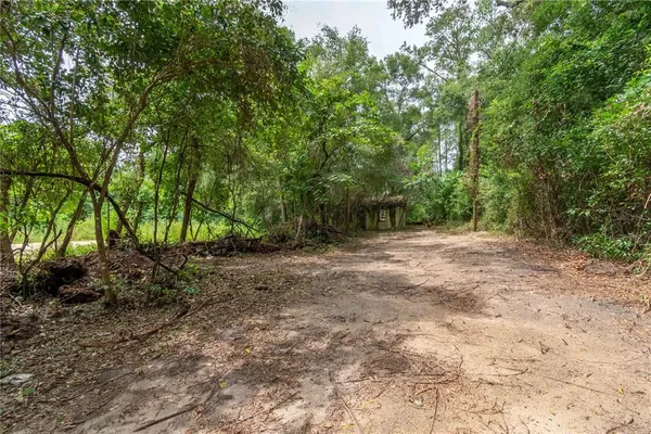 a view of backyard with green space