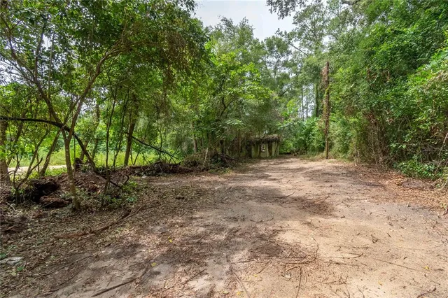 a view of backyard with green space