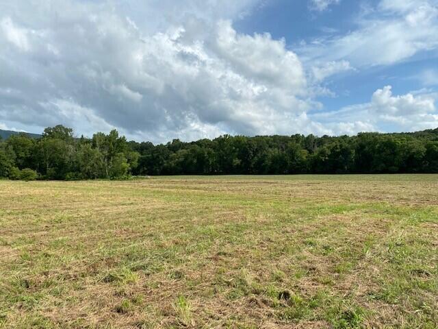 37.7 Paul Hackworth Road Whitwell, TN 37397 - Photo 14 of 20 12