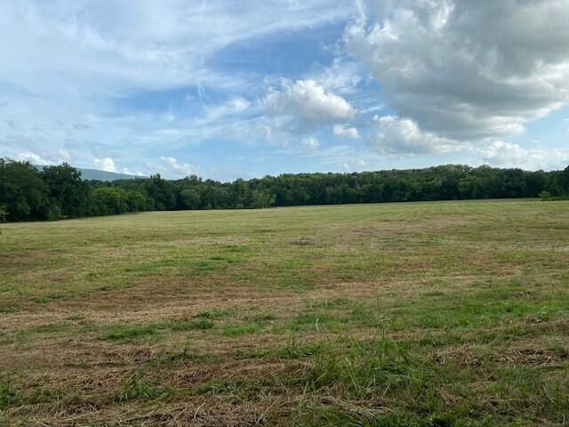 37.7 Paul Hackworth Road Whitwell, TN 37397 - Photo 8 of 20 6