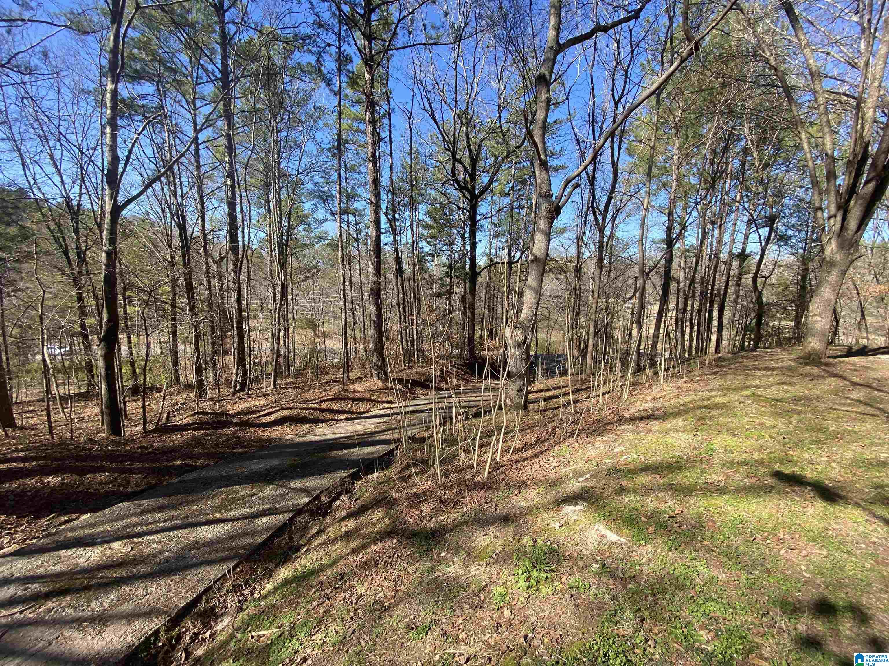 524 Highway 204 Ohatchee, AL 36271 - Photo 37 of 42