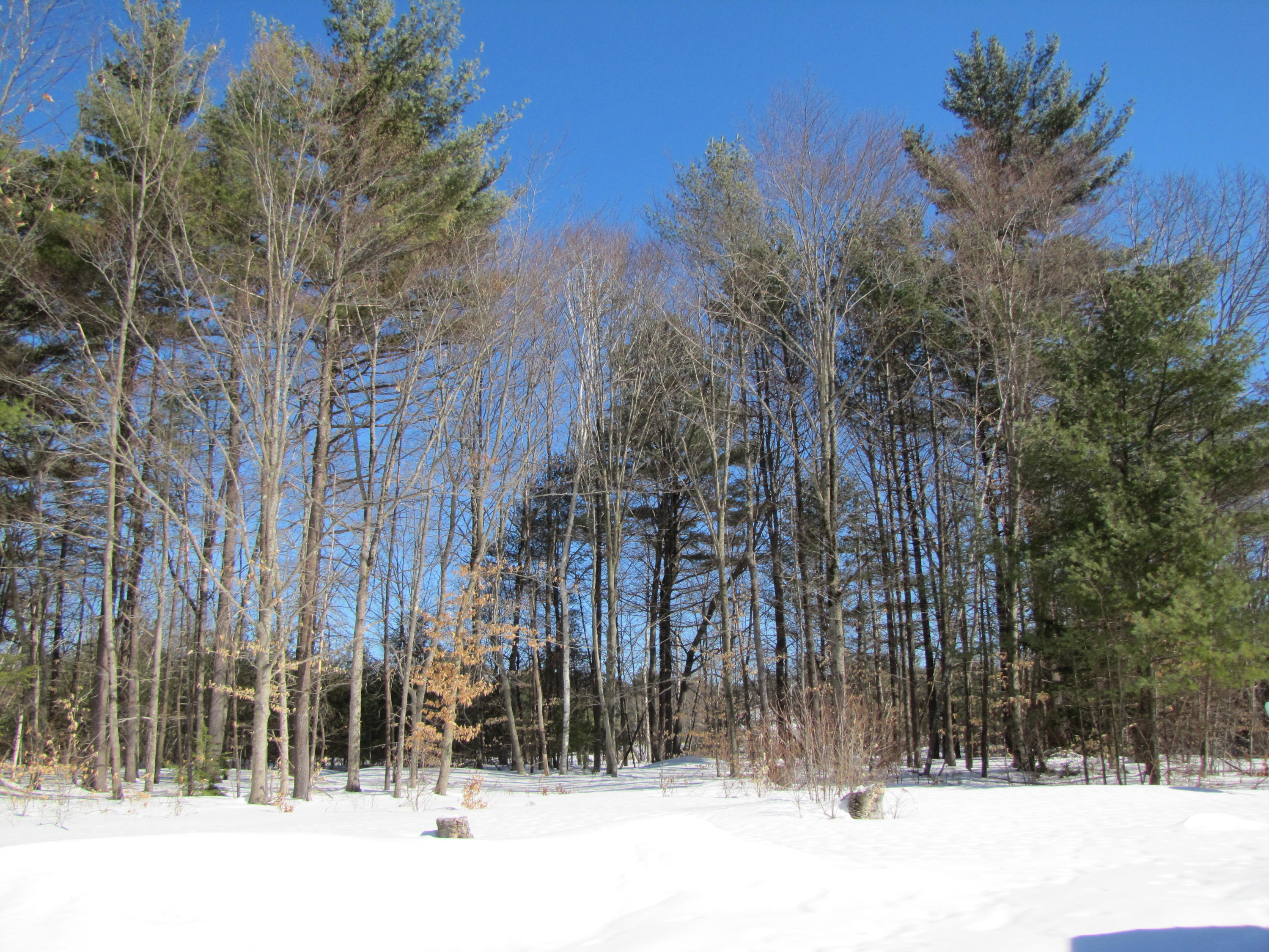 7 Cutler Ridge Road Limington, ME 04049 - Photo 32 of 35 IMG_0037