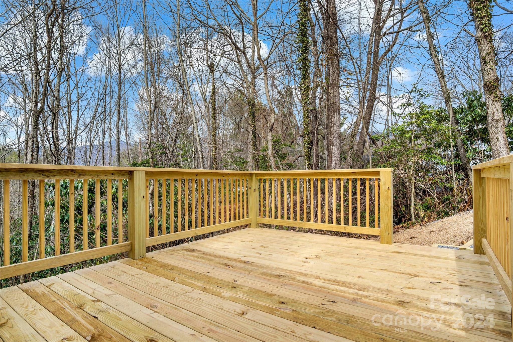 228 Barrett Road, Unit 1516 Balsam, NC 28707 - Photo 12 of 30 Gallery Image 12