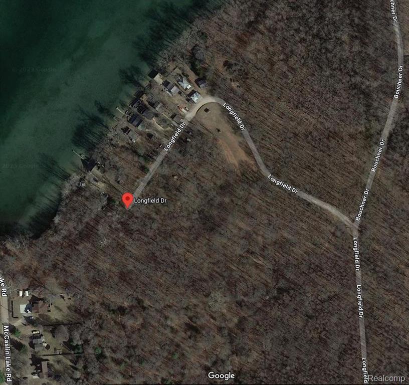 0 McCaslin Lake Road Linden, MI 48451 - Photo 5 of 6