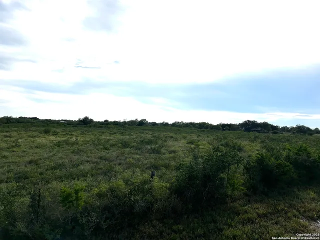 a view of a mountain range with lush green forest