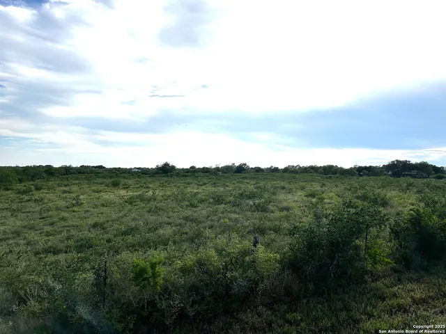 a view of a mountain range with lush green forest