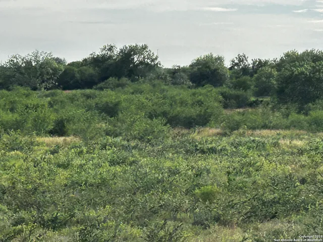 a view of a lush green forest with a houses