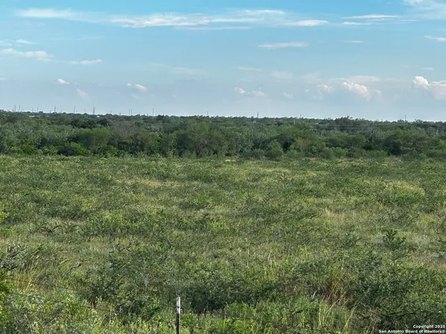a view of a city with lush green forest