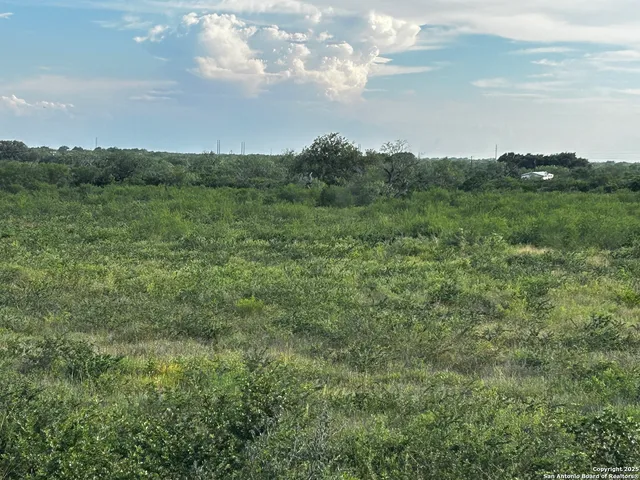 a view of a field of grass and trees